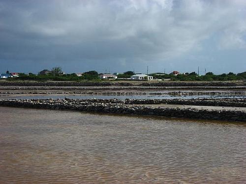 More Salt Ponds